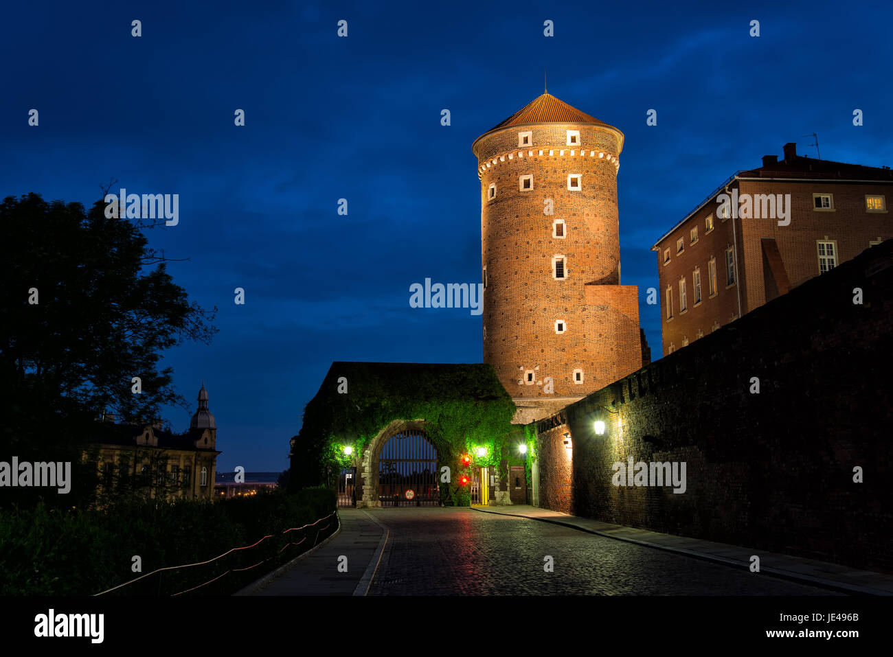 Wawel in Krakau Stockfoto