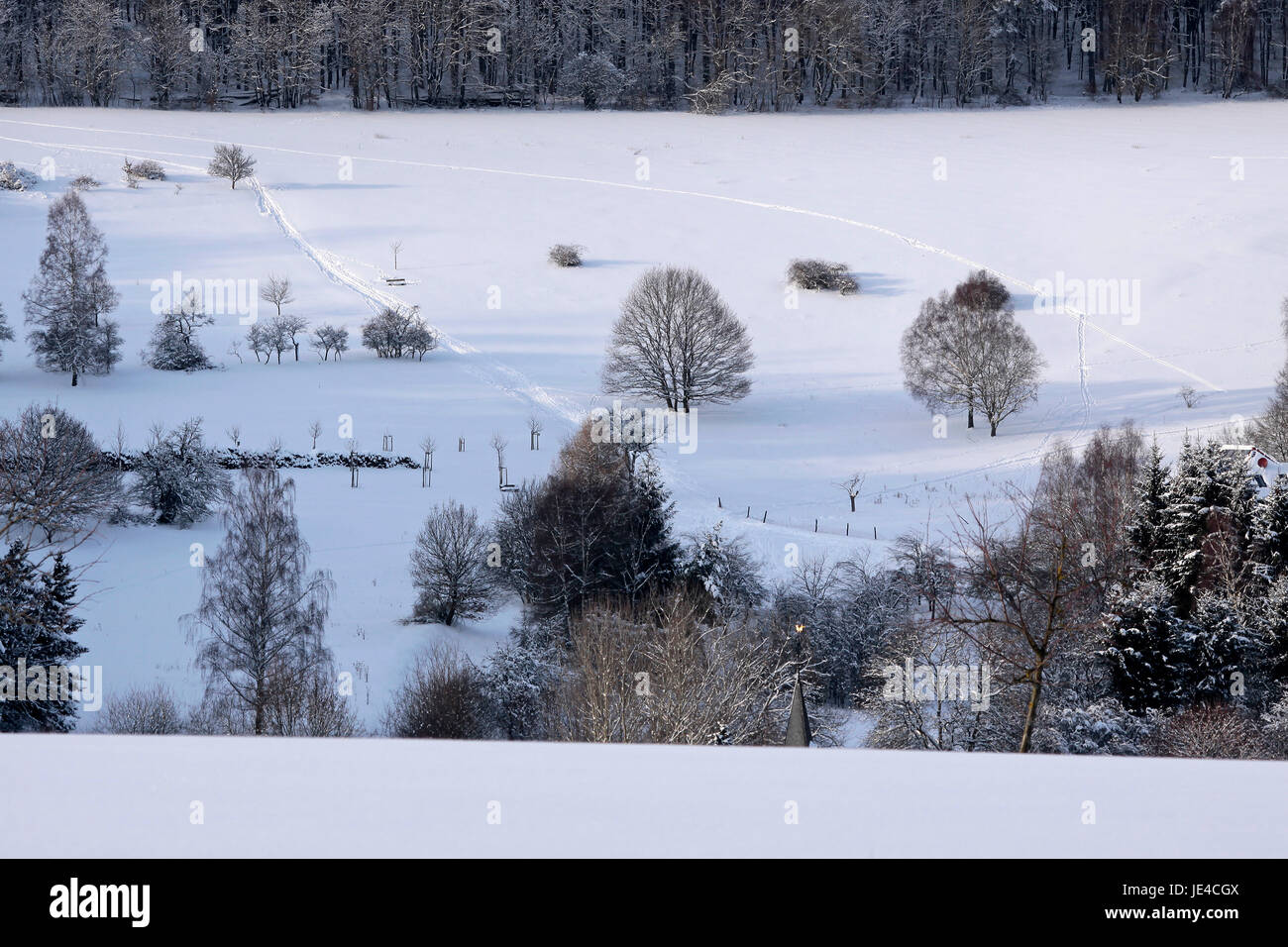 Verschneite Winterlandschaft Bei Engenhahn Im Taunus, Hessen, Deutschland Stockfoto