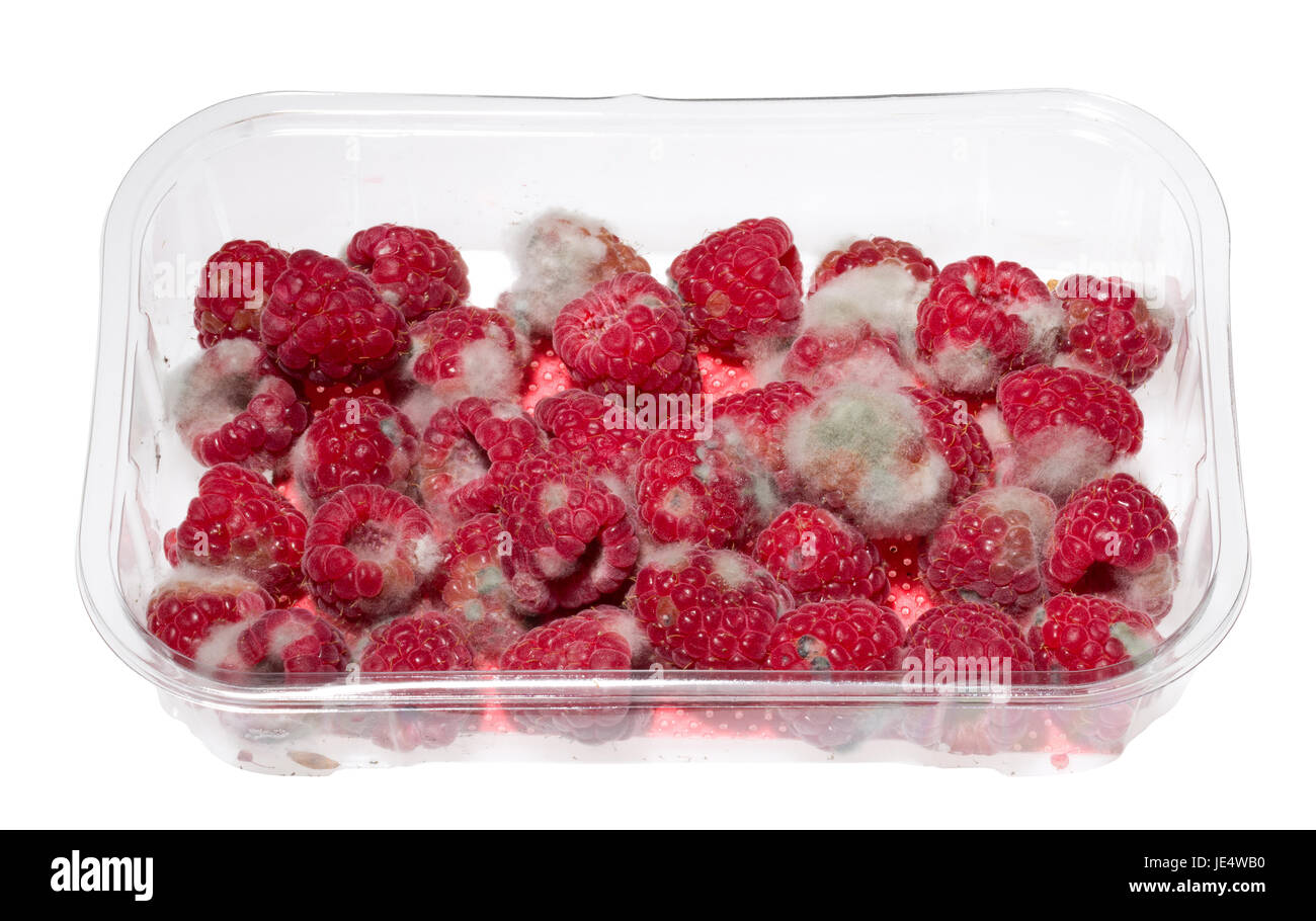 Himbeeren, die verschimmelten gegangen. Vorbei an ihren "Einsatz/Verfallsdatum" Stockfoto