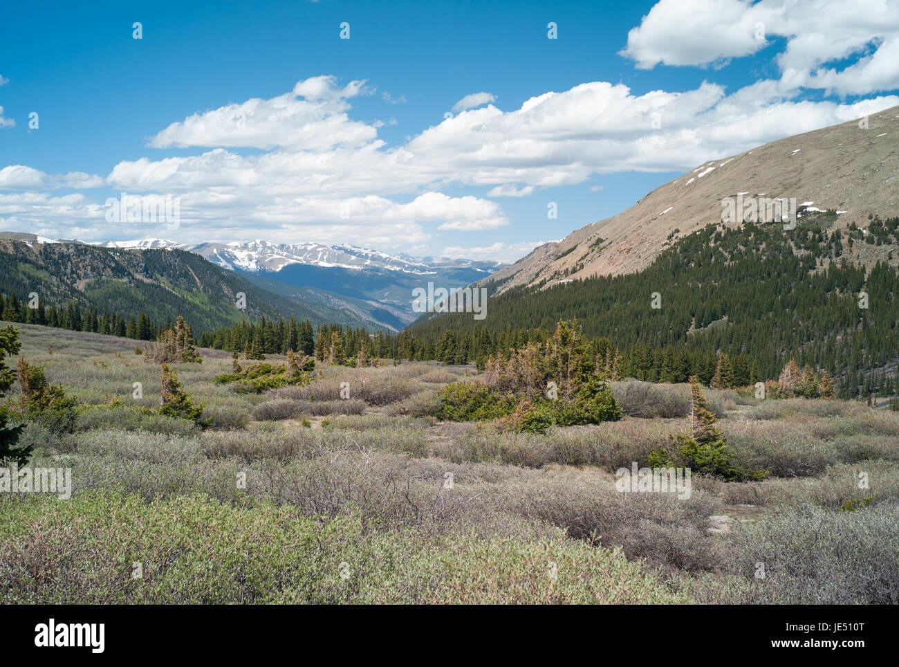 Guanella Pass Colorado Stockfoto