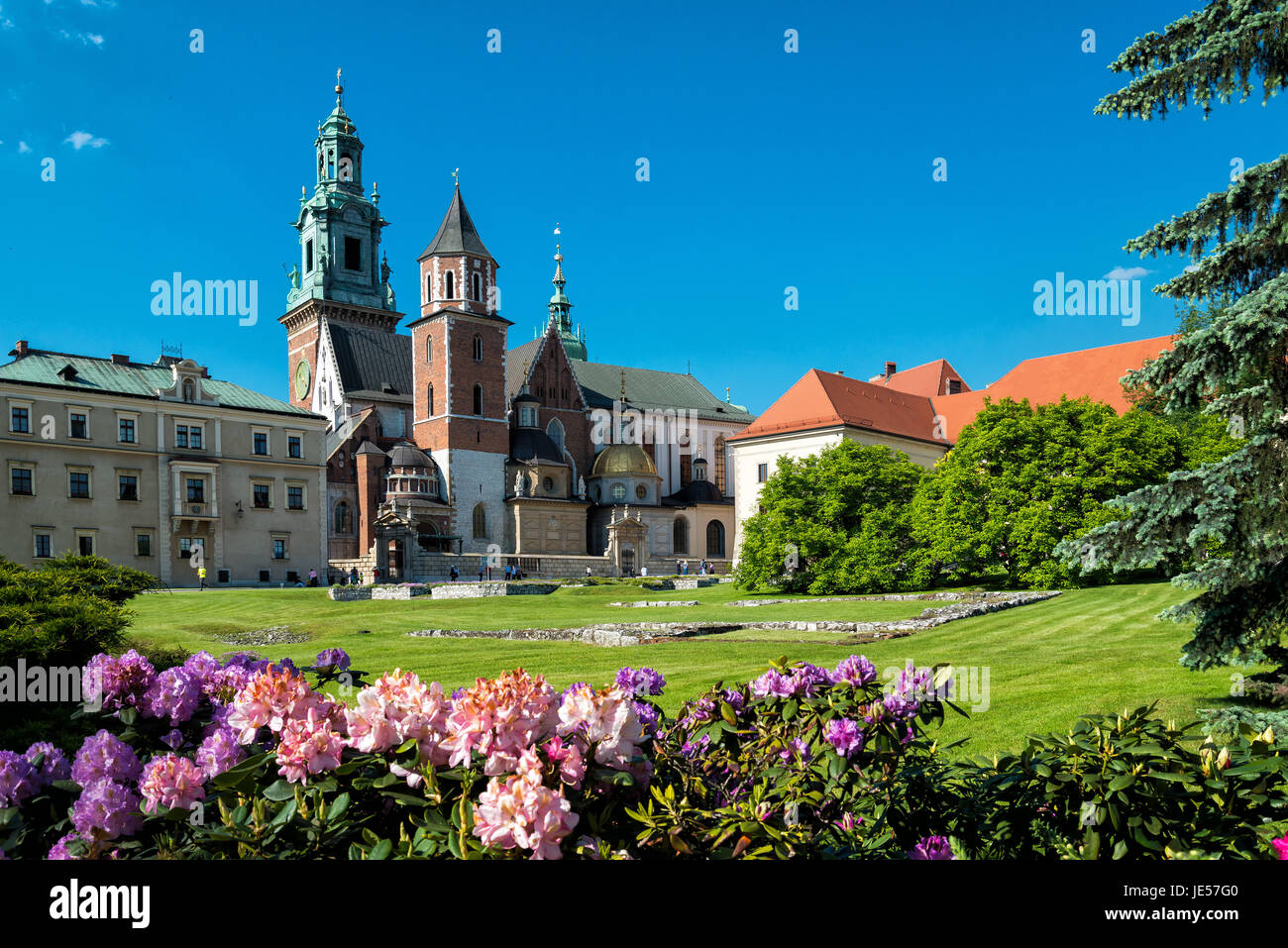 Wawel in Krakau Stockfoto