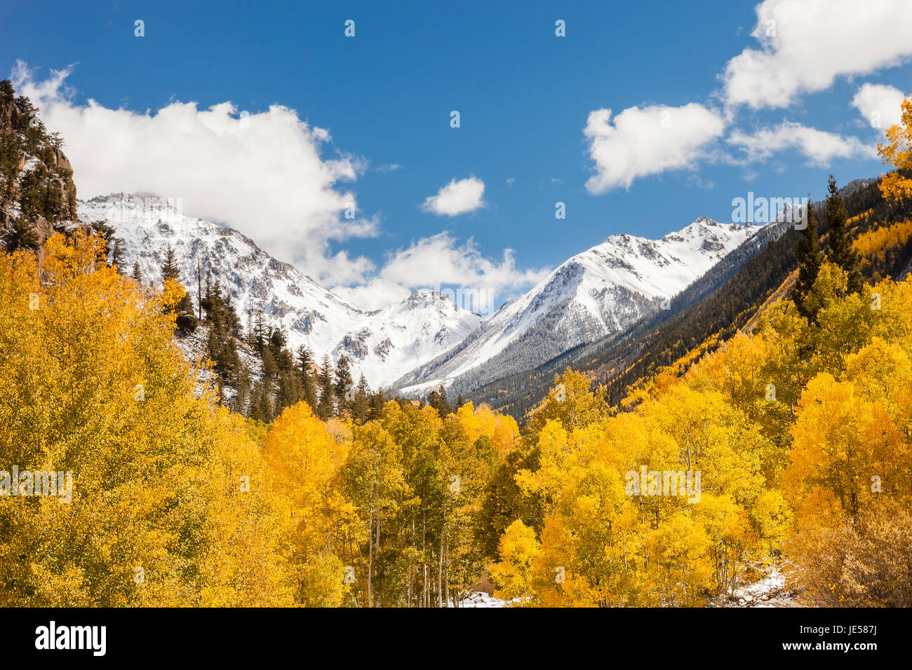 Schneebedeckte San-Juan-Gebirge mit Herbstlaub in Colorado. Stockfoto