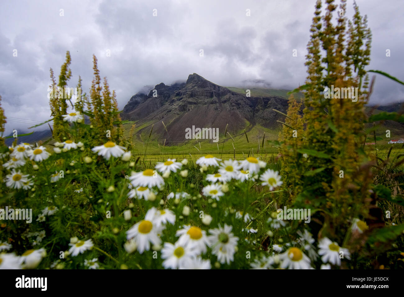 Blick auf einer Böschung ein paar Stunden nördlich von Rekjavik auf der Halbinsel Snæfellsness. Stockfoto