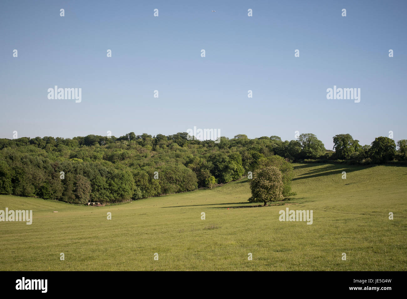 Englische Landschaft Stockfoto