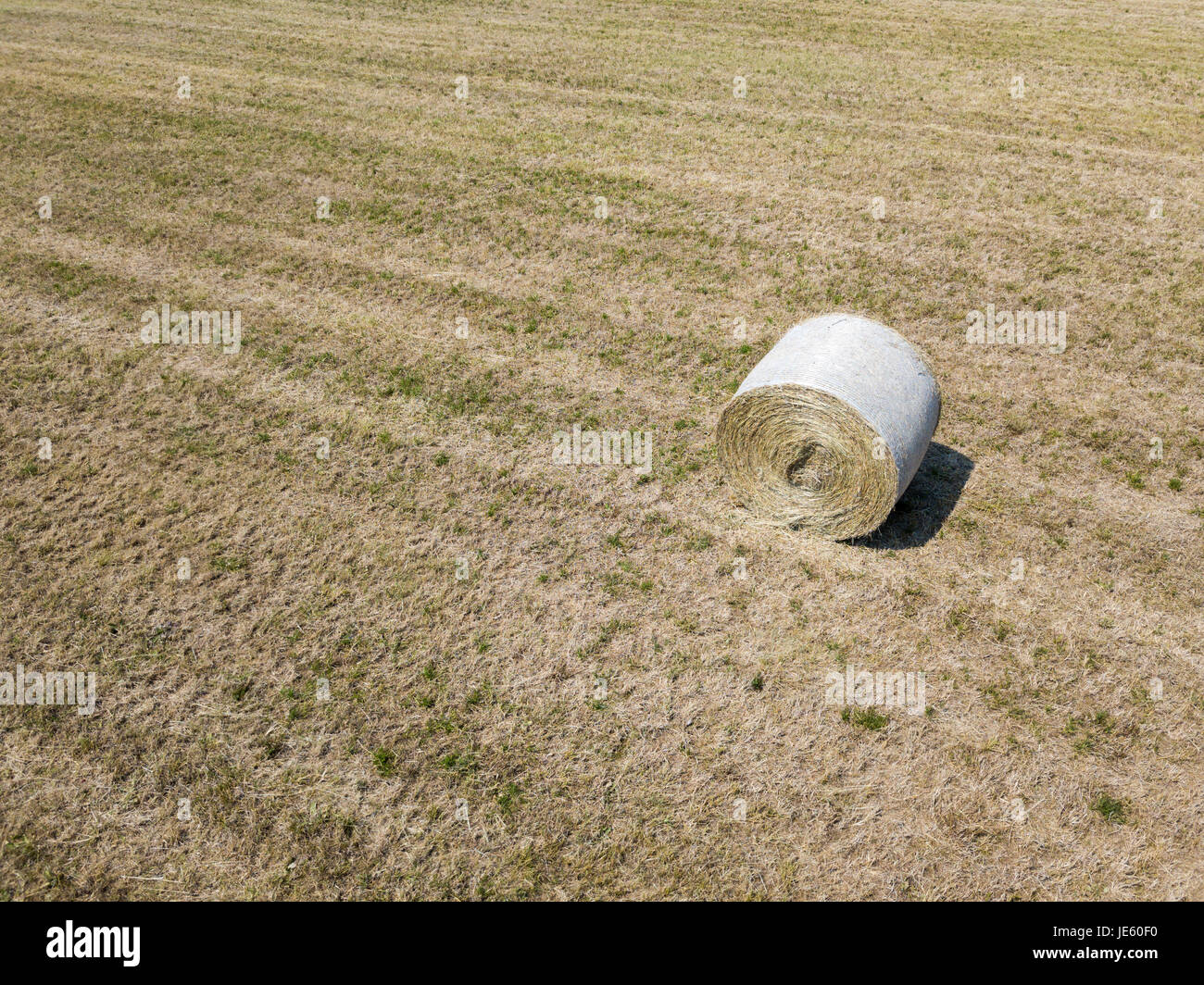 Natur und Landschaft: Luftaufnahme von einem Feld, gepflügtes Feld, Anbau, grasgrün, Landschaft, Landwirtschaft, Heuhaufen, Heuballen Stockfoto