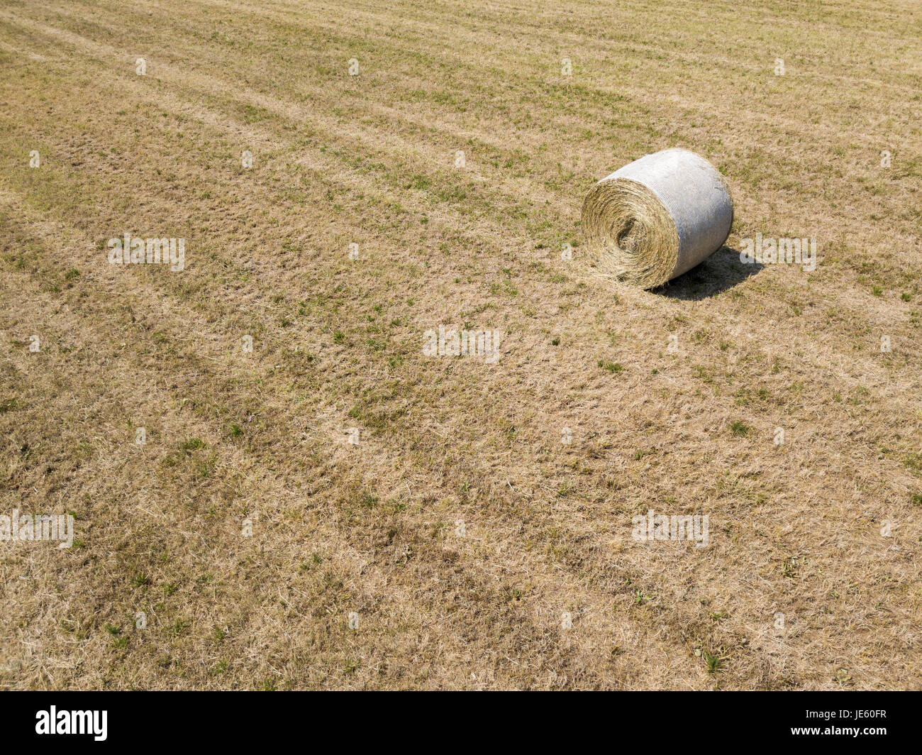 Natur und Landschaft: Luftaufnahme von einem Feld, gepflügtes Feld, Anbau, grasgrün, Landschaft, Landwirtschaft, Heuhaufen, Heuballen Stockfoto