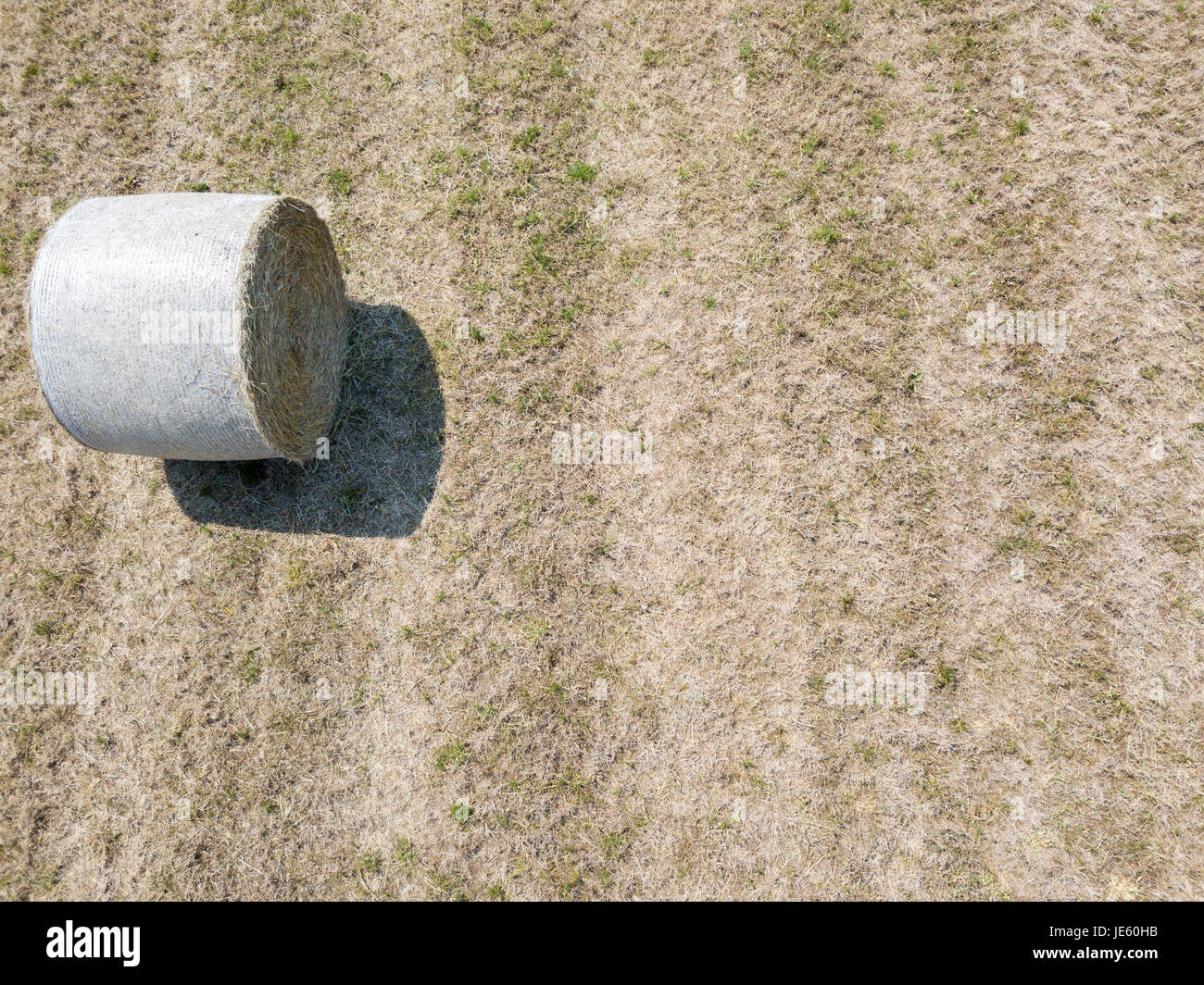 Natur und Landschaft: Luftaufnahme von einem Feld, gepflügtes Feld, Anbau, grasgrün, Landschaft, Landwirtschaft, Heuhaufen, Heuballen Stockfoto
