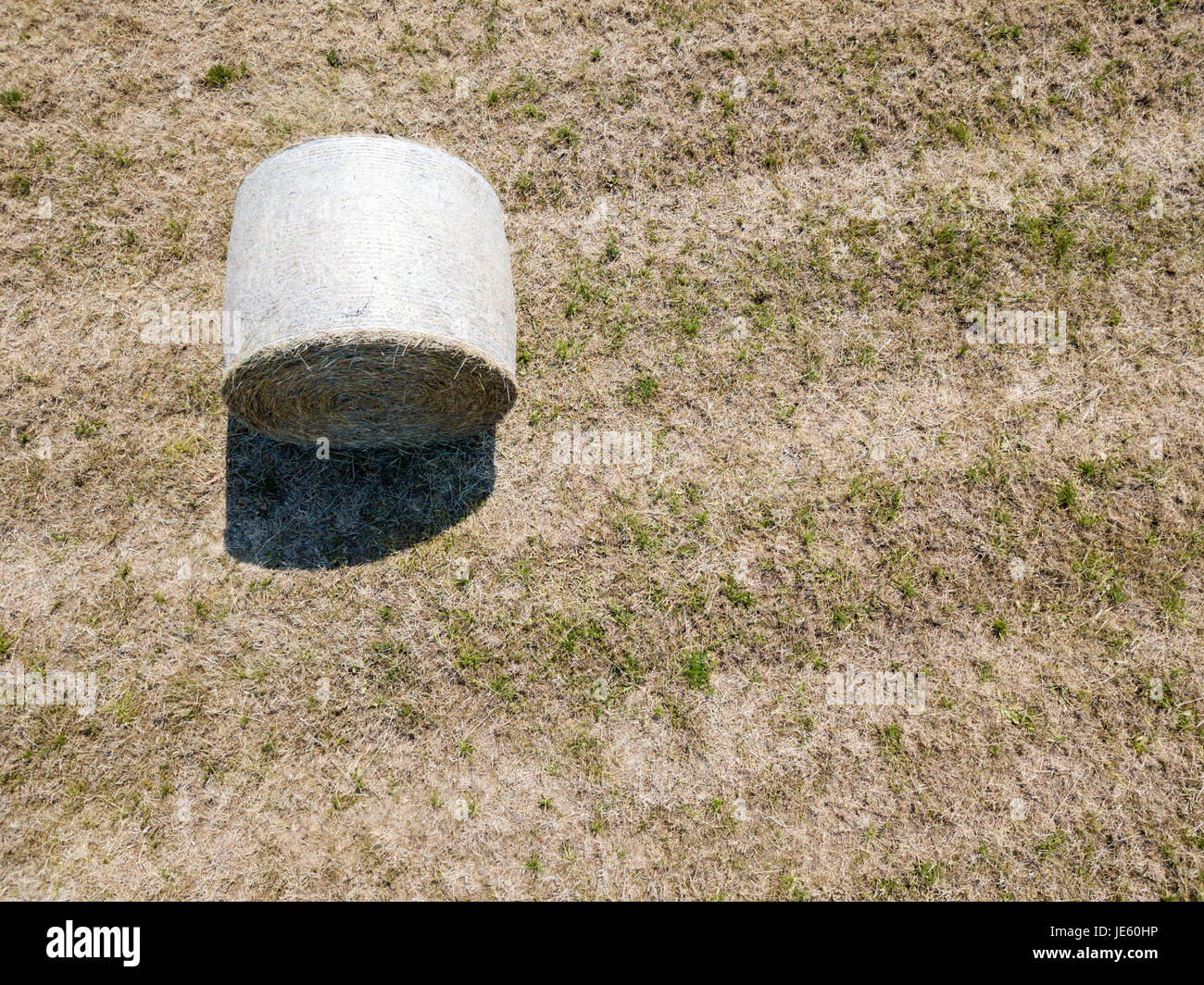 Natur und Landschaft: Luftaufnahme von einem Feld, gepflügtes Feld, Anbau, grasgrün, Landschaft, Landwirtschaft, Heuhaufen, Heuballen Stockfoto