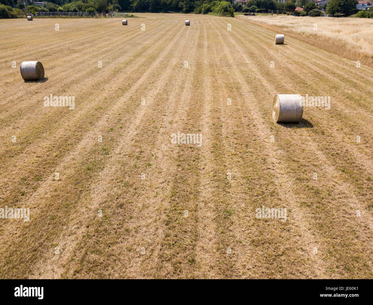 Natur und Landschaft: Luftaufnahme von einem Feld, gepflügtes Feld, Anbau, grasgrün, Landschaft, Landwirtschaft, Heuhaufen, Heuballen Stockfoto