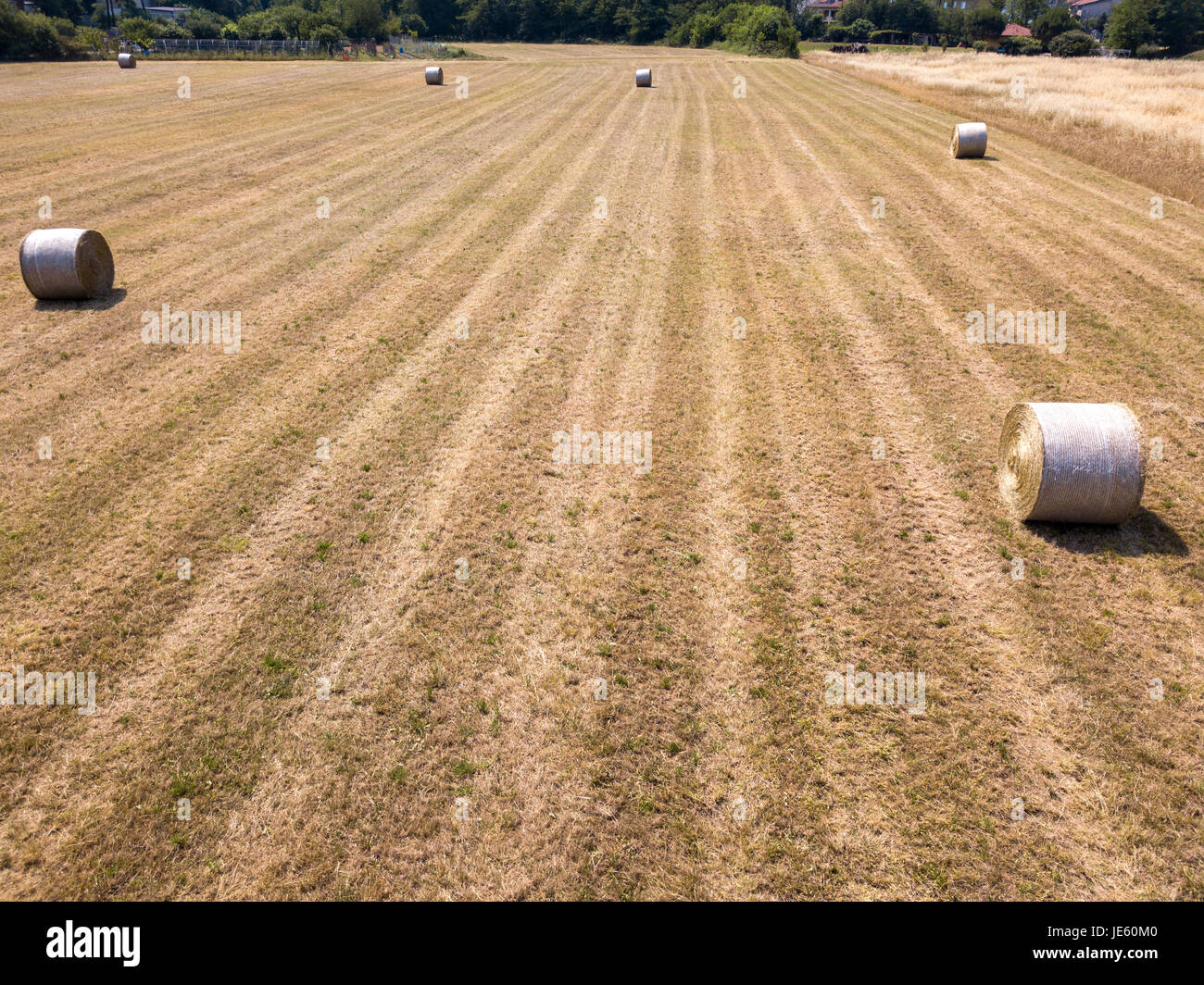 Natur und Landschaft: Luftaufnahme von einem Feld, gepflügtes Feld, Anbau, grasgrün, Landschaft, Landwirtschaft, Heuhaufen, Heuballen Stockfoto
