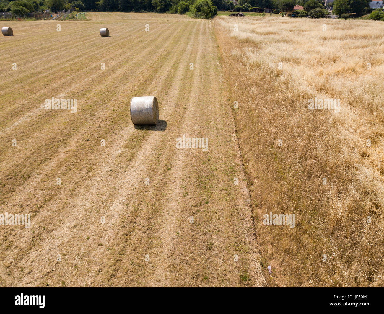 Natur und Landschaft: Luftaufnahme von einem Feld, gepflügtes Feld, Anbau, grasgrün, Landschaft, Landwirtschaft, Heuhaufen, Heuballen Stockfoto