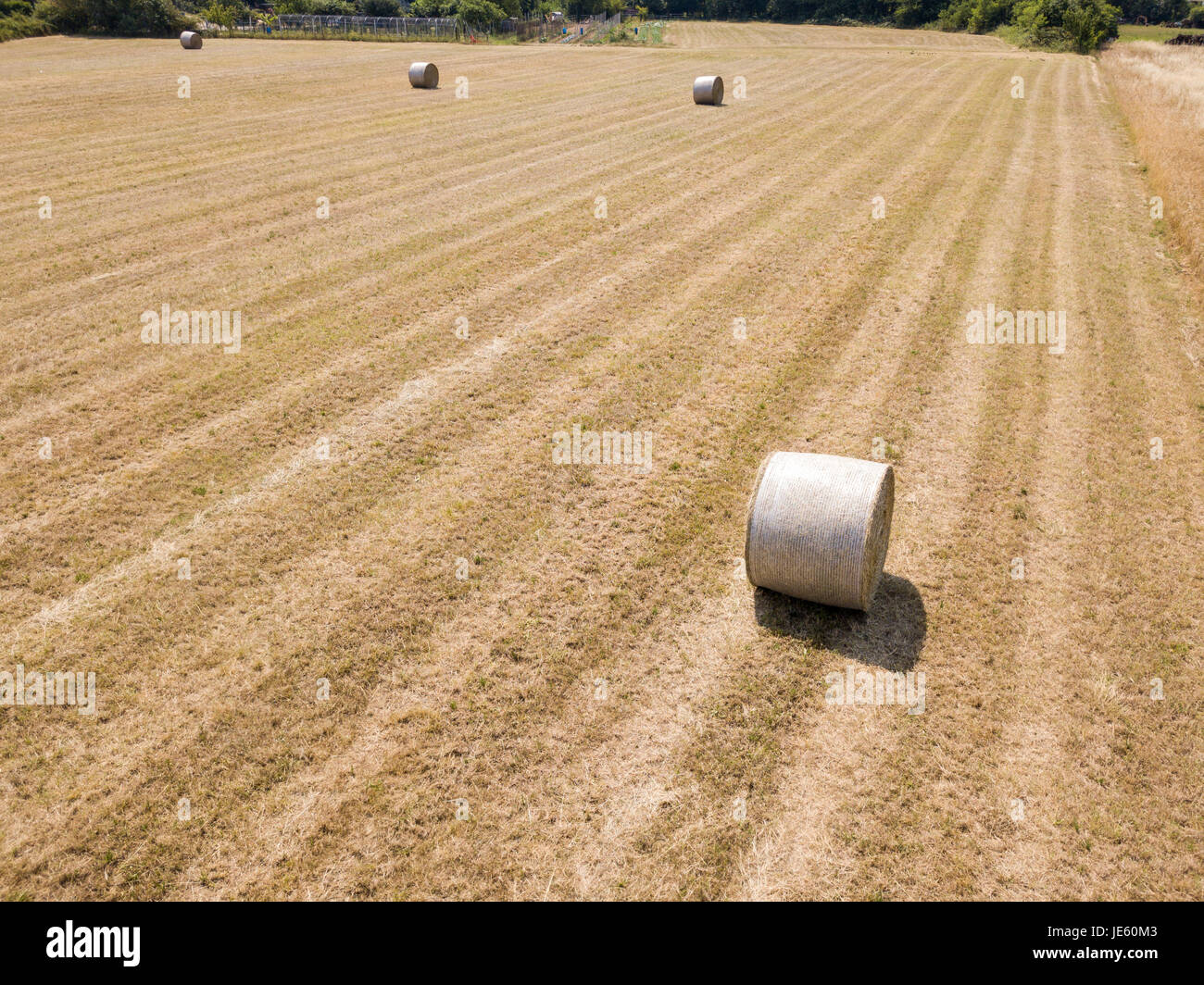 Natur und Landschaft: Luftaufnahme von einem Feld, gepflügtes Feld, Anbau, grasgrün, Landschaft, Landwirtschaft, Heuhaufen, Heuballen Stockfoto