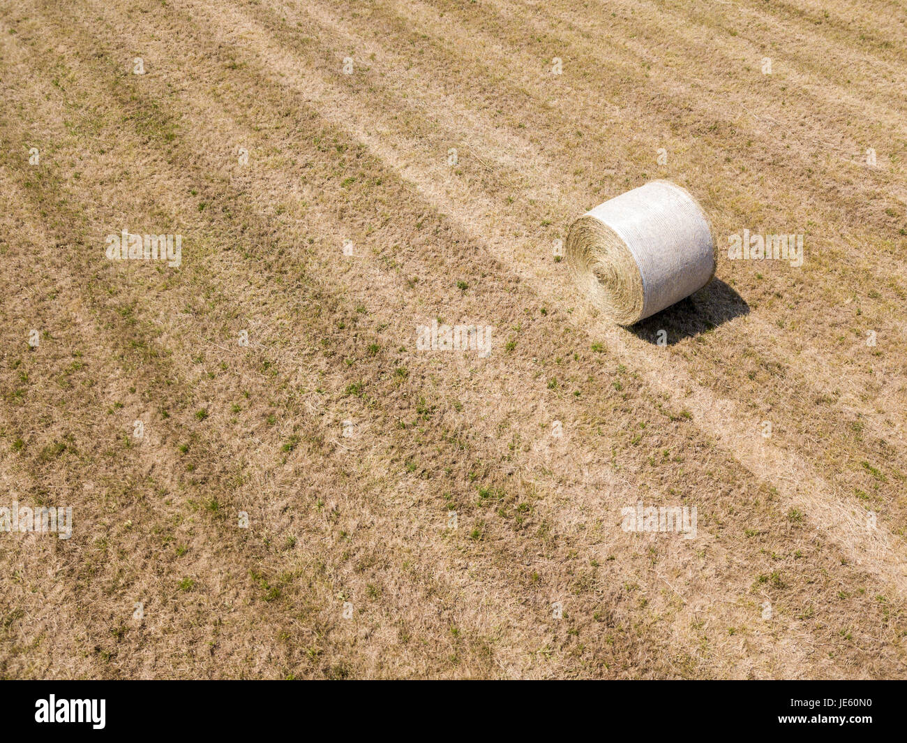 Natur und Landschaft: Luftaufnahme von einem Feld, gepflügtes Feld, Anbau, grasgrün, Landschaft, Landwirtschaft, Heuhaufen, Heuballen Stockfoto