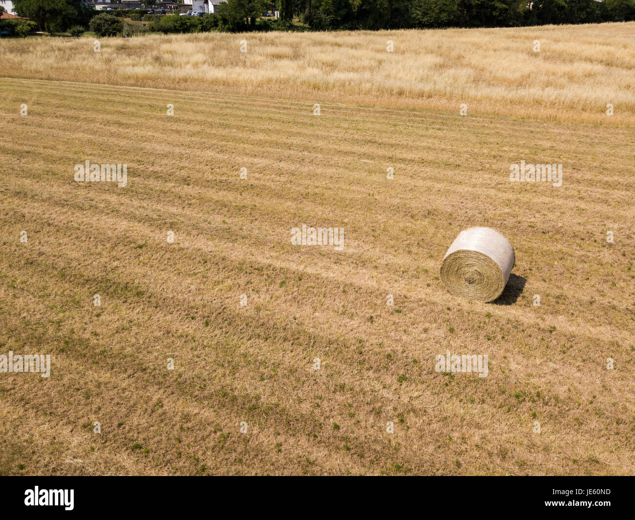 Natur und Landschaft: Luftaufnahme von einem Feld, gepflügtes Feld, Anbau, grasgrün, Landschaft, Landwirtschaft, Heuhaufen, Heuballen Stockfoto