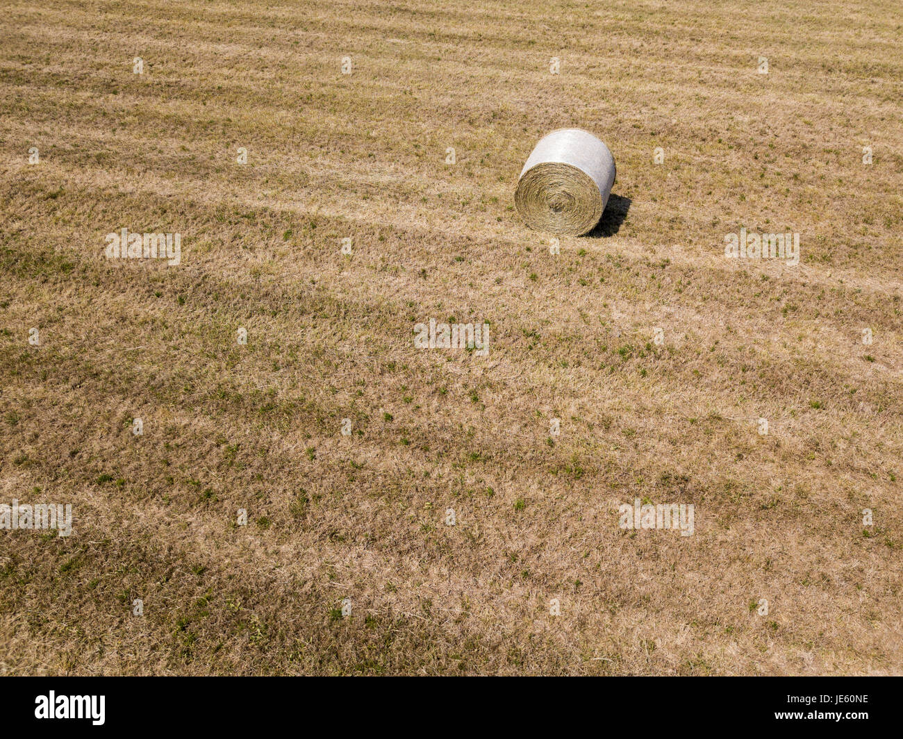 Natur und Landschaft: Luftaufnahme von einem Feld, gepflügtes Feld, Anbau, grasgrün, Landschaft, Landwirtschaft, Heuhaufen, Heuballen Stockfoto