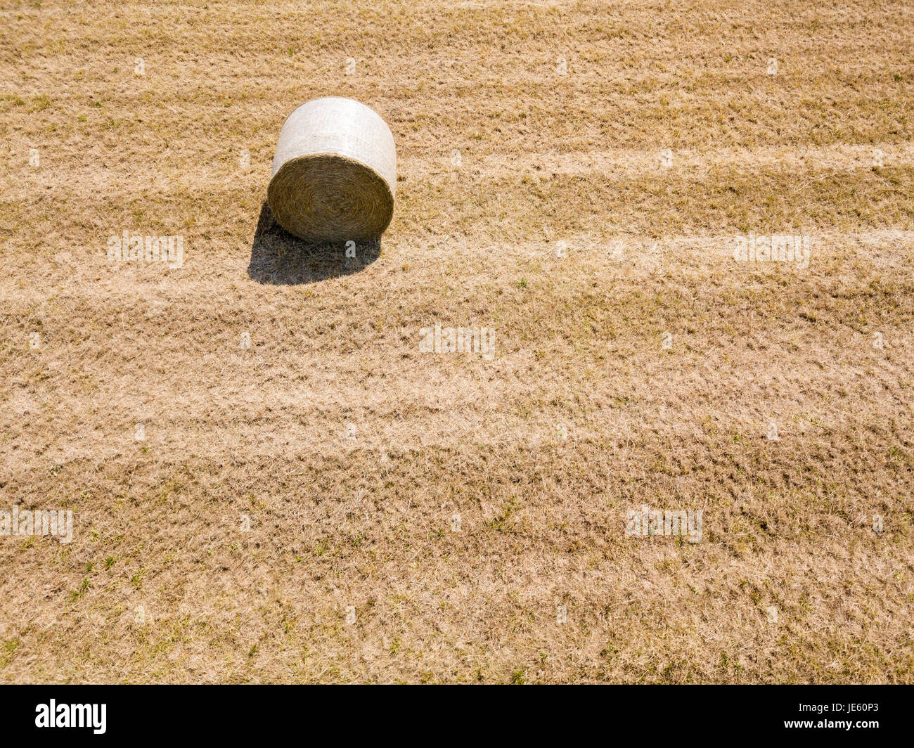 Natur und Landschaft: Luftaufnahme von einem Feld, gepflügtes Feld, Anbau, grasgrün, Landschaft, Landwirtschaft, Heuhaufen, Heuballen Stockfoto