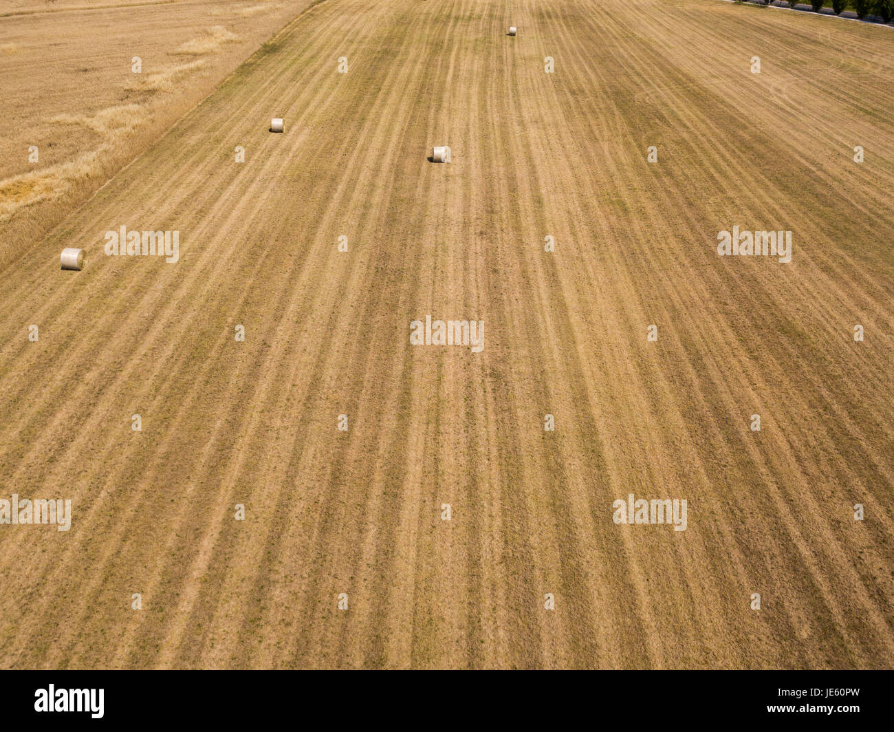 Natur und Landschaft: Luftaufnahme von einem Feld, gepflügtes Feld, Anbau, grasgrün, Landschaft, Landwirtschaft, Heuhaufen, Heuballen Stockfoto