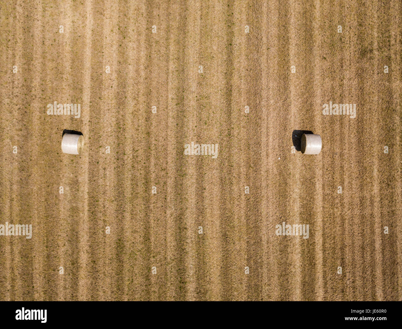Natur und Landschaft: Luftaufnahme von einem Feld, gepflügtes Feld, Anbau, grasgrün, Landschaft, Landwirtschaft, Heuhaufen, Heuballen Stockfoto
