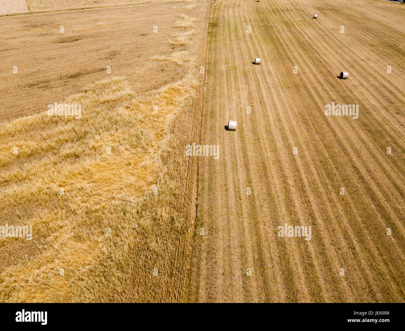 Natur und Landschaft: Luftaufnahme von einem Feld, gepflügtes Feld, Anbau, grasgrün, Landschaft, Landwirtschaft, Heuhaufen, Heuballen Stockfoto