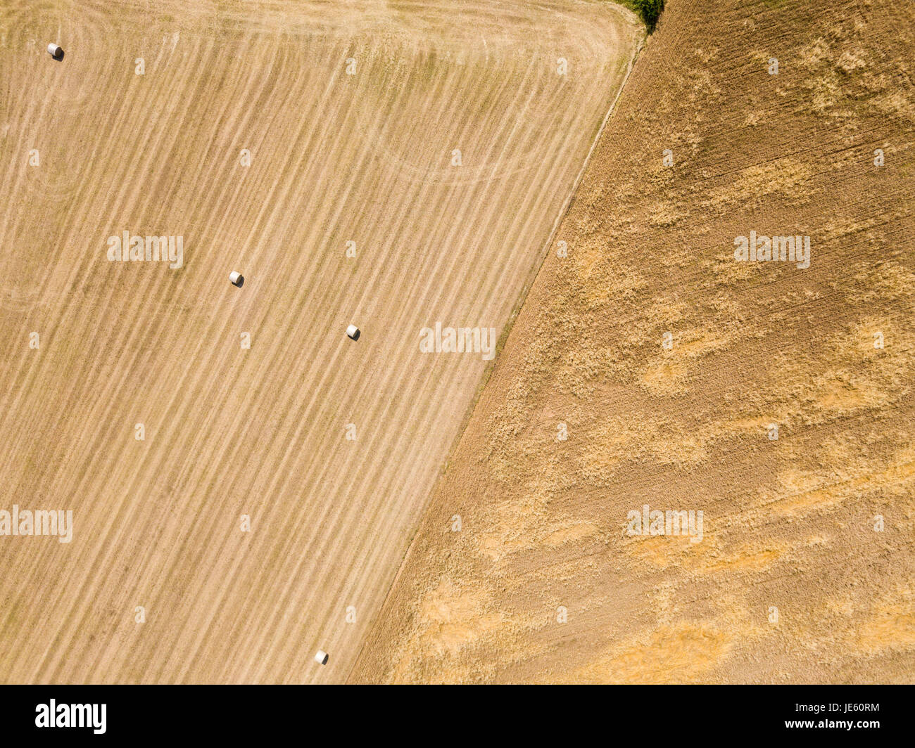Natur und Landschaft: Luftaufnahme von einem Feld, gepflügtes Feld, Anbau, grasgrün, Landschaft, Landwirtschaft, Heuhaufen, Heuballen Stockfoto