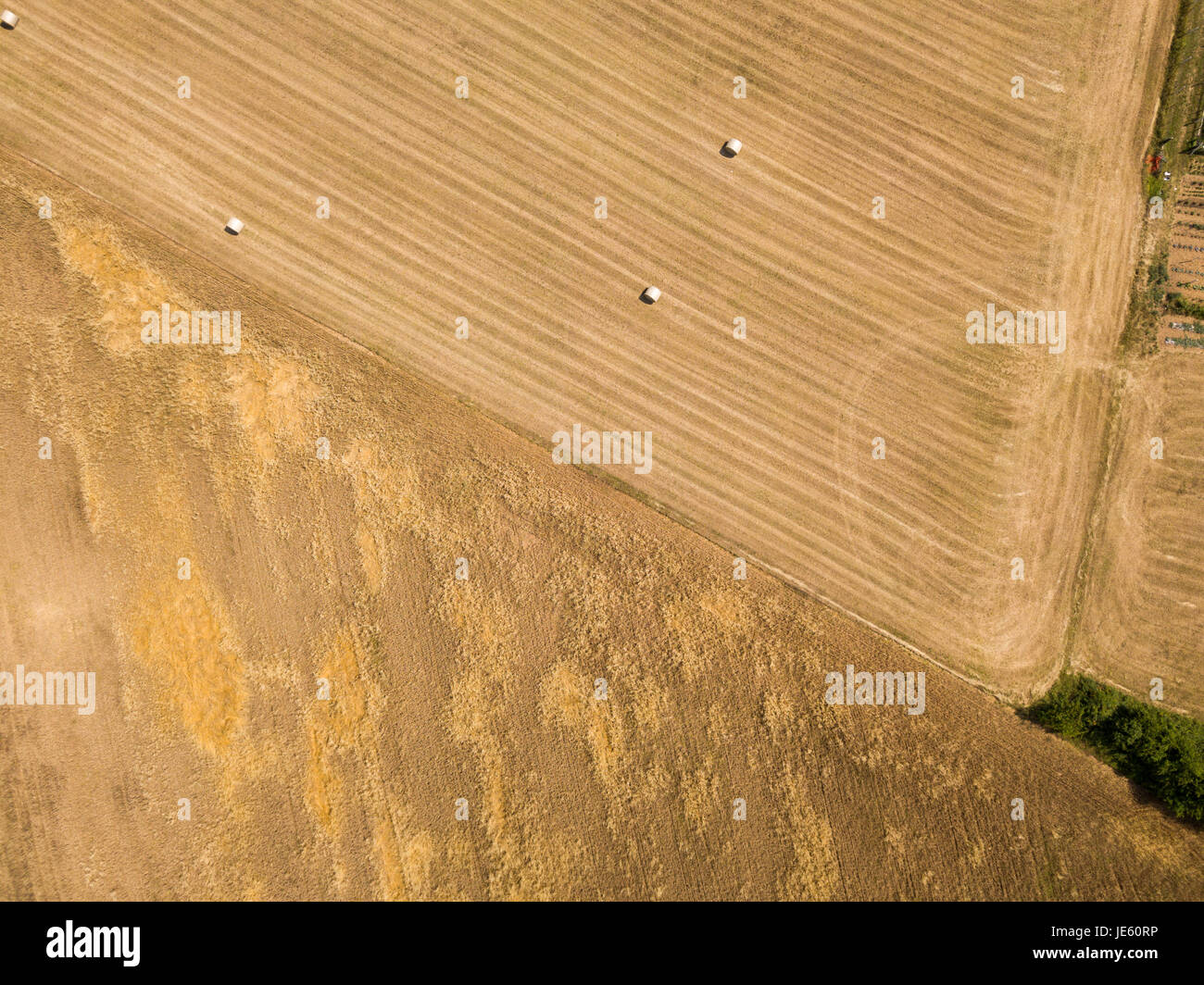 Natur und Landschaft: Luftaufnahme von einem Feld, gepflügtes Feld, Anbau, grasgrün, Landschaft, Landwirtschaft, Heuhaufen, Heuballen Stockfoto