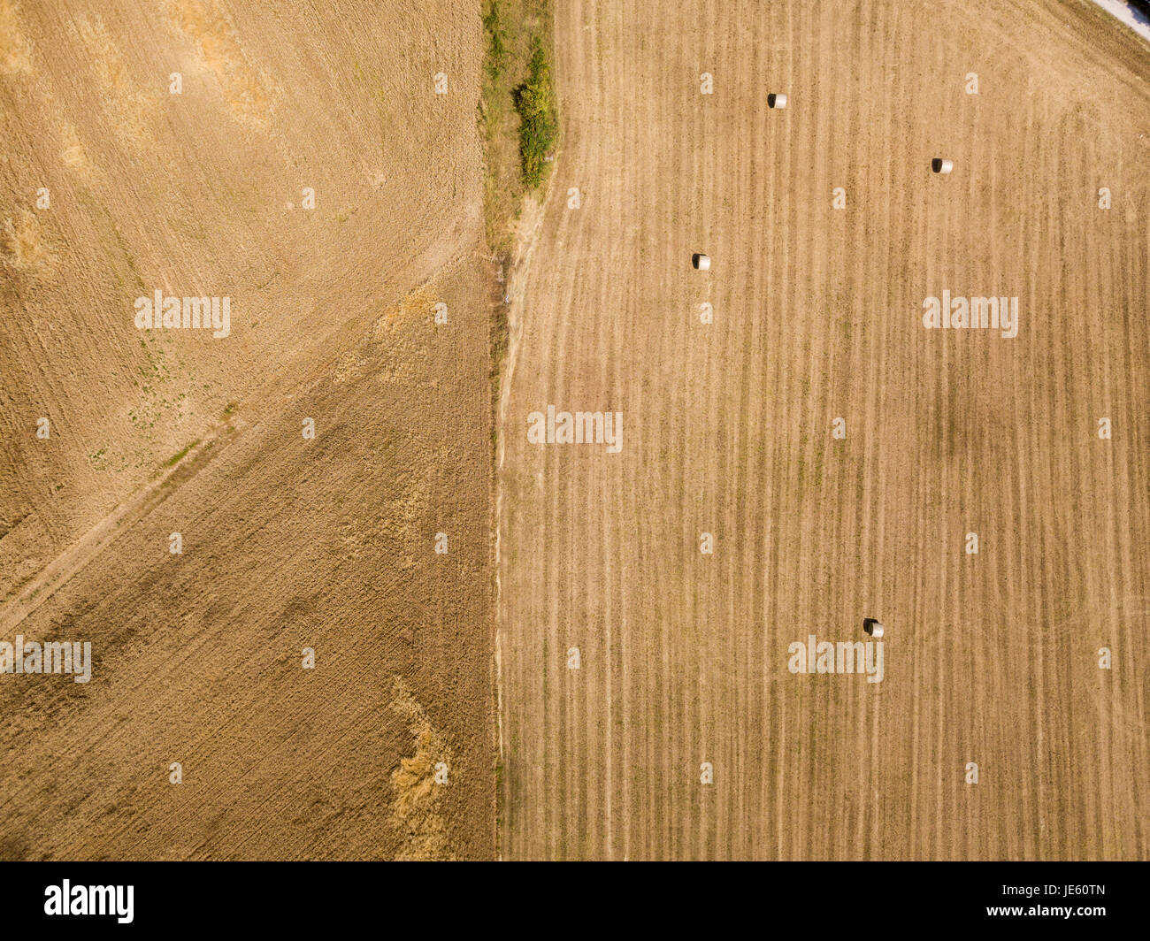 Natur und Landschaft: Luftaufnahme von einem Feld, gepflügtes Feld, Anbau, grasgrün, Landschaft, Landwirtschaft, Heuhaufen, Heuballen Stockfoto