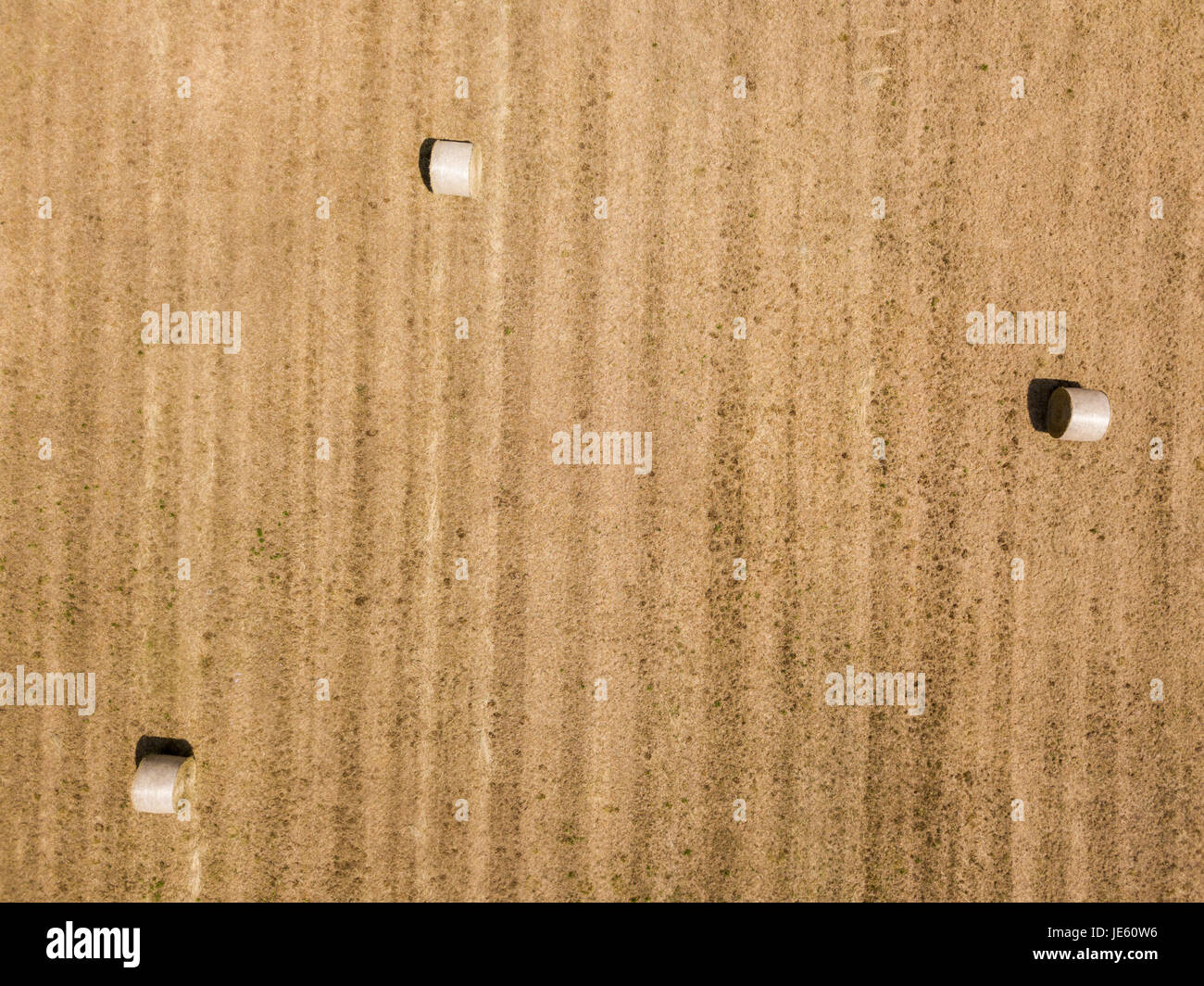 Natur und Landschaft: Luftaufnahme von einem Feld, gepflügtes Feld, Anbau, grasgrün, Landschaft, Landwirtschaft, Heuhaufen, Heuballen Stockfoto