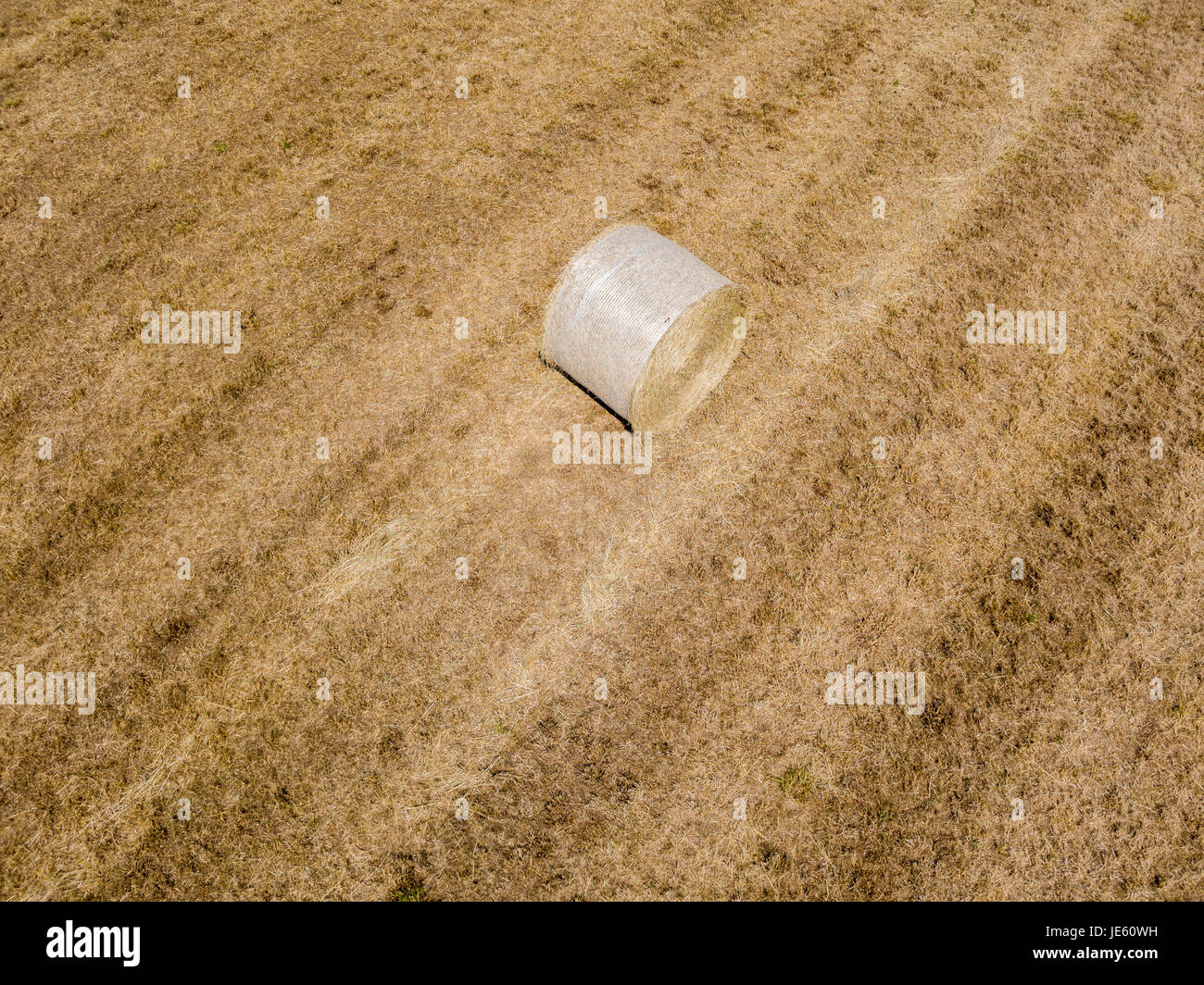 Natur und Landschaft: Luftaufnahme von einem Feld, gepflügtes Feld, Anbau, grasgrün, Landschaft, Landwirtschaft, Heuhaufen, Heuballen Stockfoto