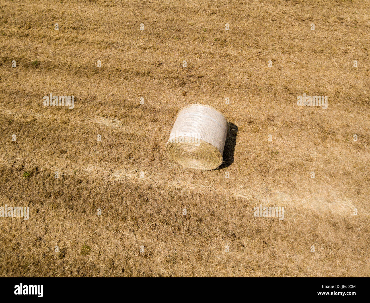 Natur und Landschaft: Luftaufnahme von einem Feld, gepflügtes Feld, Anbau, grasgrün, Landschaft, Landwirtschaft, Heuhaufen, Heuballen Stockfoto