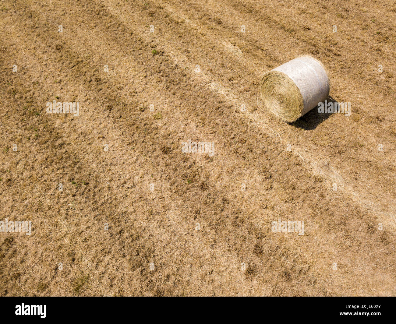 Natur und Landschaft: Luftaufnahme von einem Feld, gepflügtes Feld, Anbau, grasgrün, Landschaft, Landwirtschaft, Heuhaufen, Heuballen Stockfoto