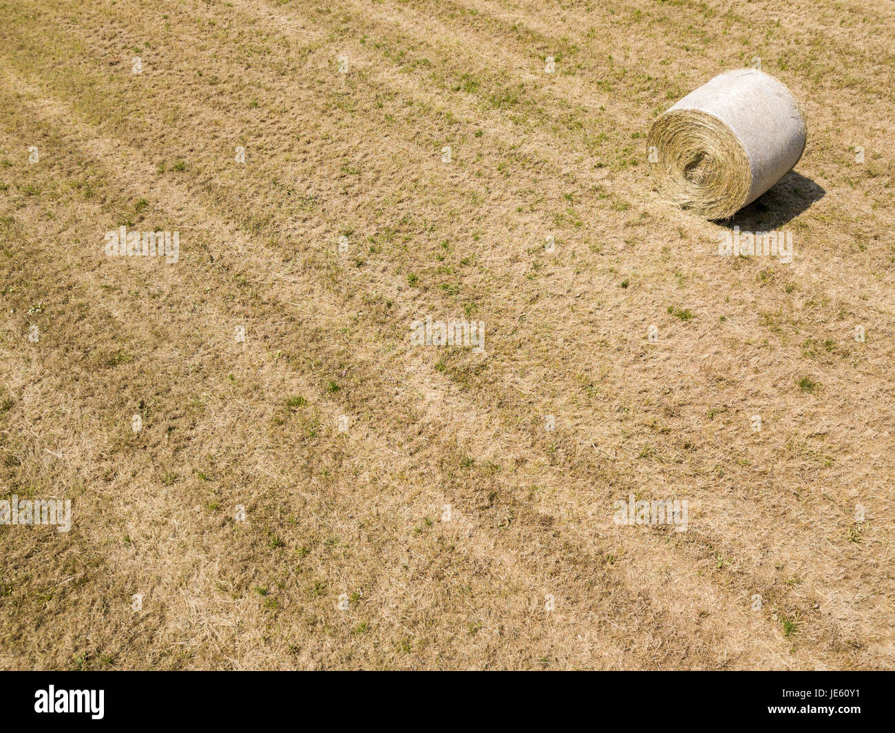 Natur und Landschaft: Luftaufnahme von einem Feld, gepflügtes Feld, Anbau, grasgrün, Landschaft, Landwirtschaft, Heuhaufen, Heuballen Stockfoto