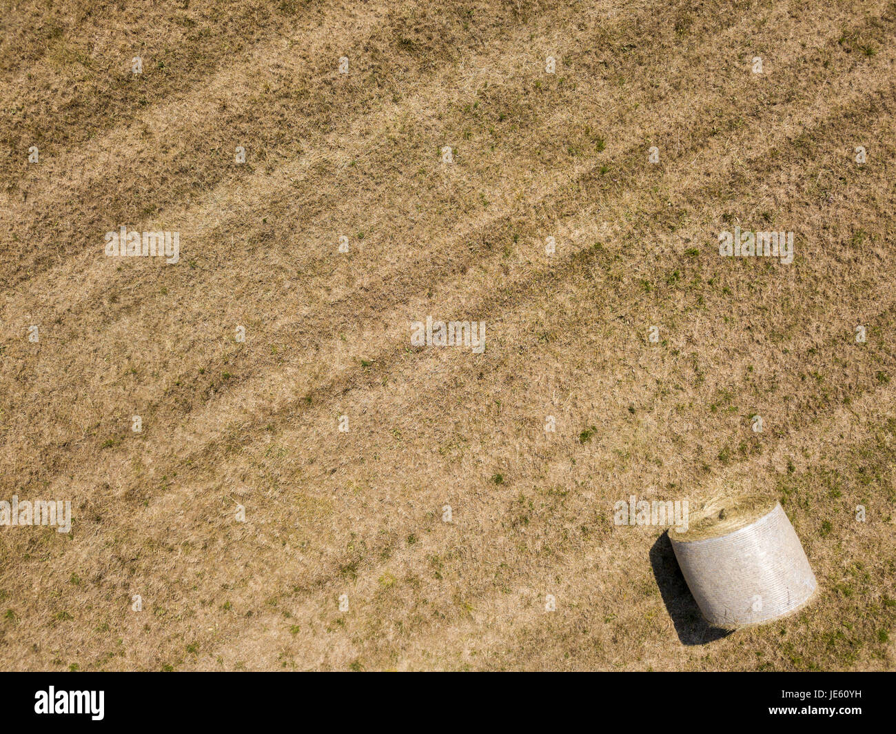 Natur und Landschaft: Luftaufnahme von einem Feld, gepflügtes Feld, Anbau, grasgrün, Landschaft, Landwirtschaft, Heuhaufen, Heuballen Stockfoto