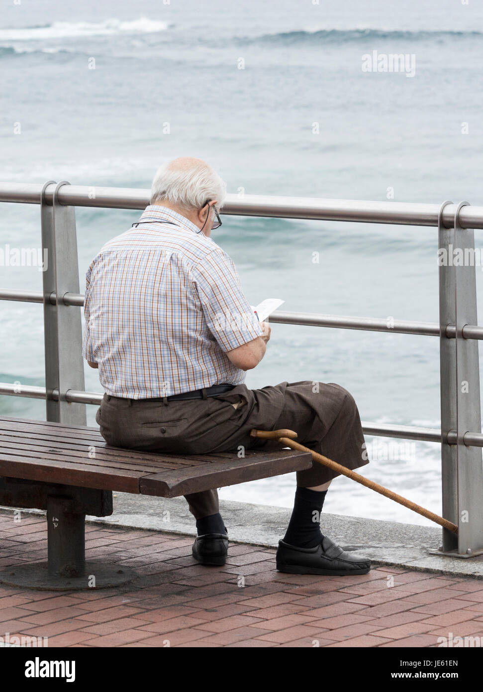 Älterer Mann Lesebuch im freien Stockfoto