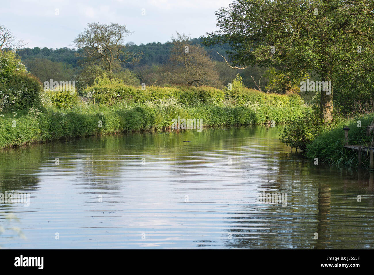 Caldon Kanal an einem warmen Frühlingstag, Staffordshire Stockfoto