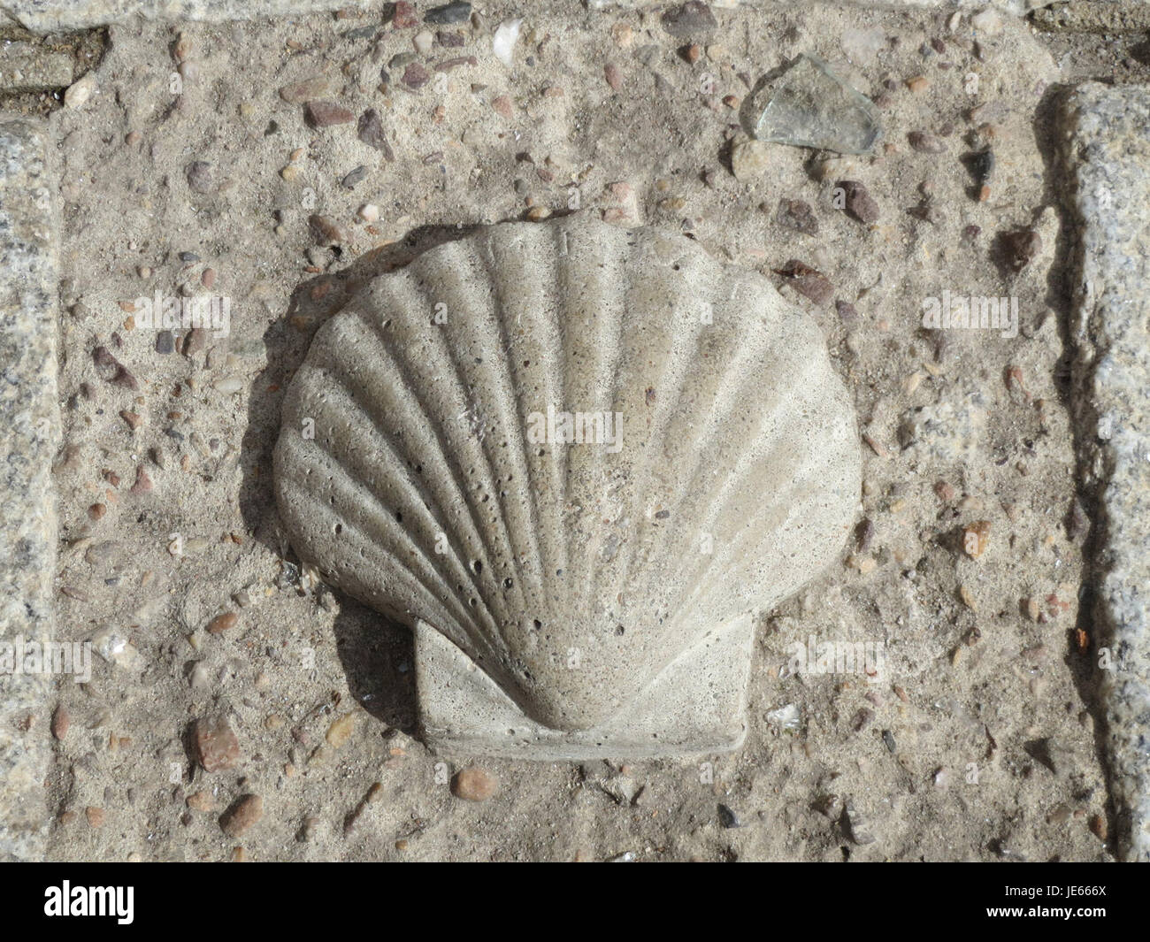 Der Domnapf in Speyer, der in diesem Bild vom 8. September 2013 zu sehen ist, ist ein architektonisches Element im Speyerer Dom. Dieser Teil des Doms, bekannt für seine historische und religiöse Bedeutung, ist ein wichtiges Wahrzeichen in Speyer. Stockfoto