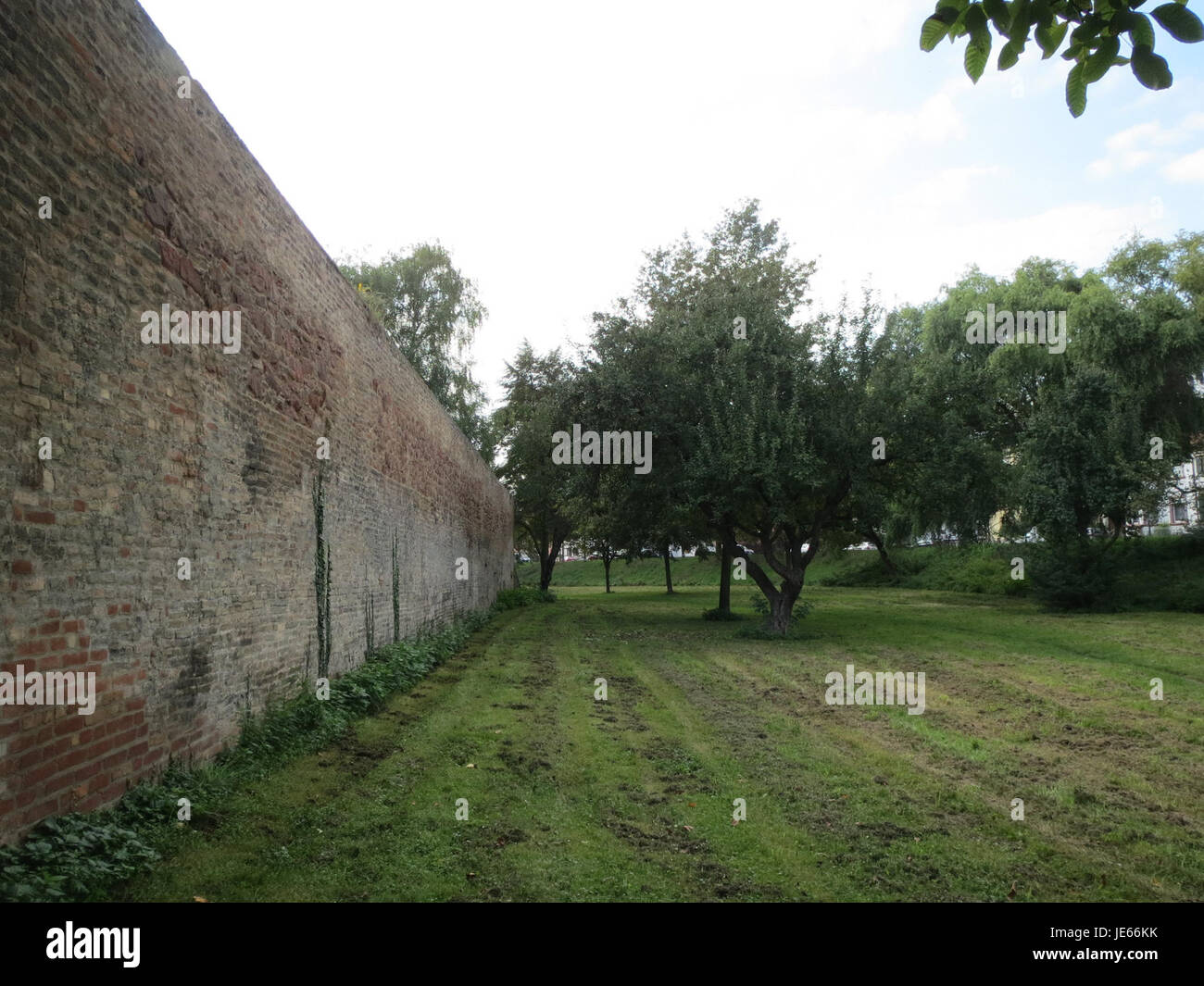 Das Bild zeigt den Eselsdamm, einen historischen Damm in Speyer. Dieser Damm hat einen bedeutenden historischen Wert und ist Teil des alten Wasserbewirtschaftungssystems der Region, das zur Entwicklung des Gebiets beigetragen hat. Stockfoto