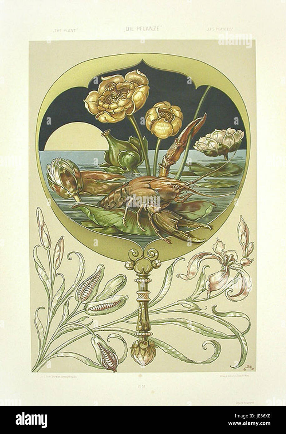 Kunstwerk von Anton Seder, in dem Hummer und Seerosen dargestellt werden, zeigt seinen botanischen Illustrationsstil. Stockfoto