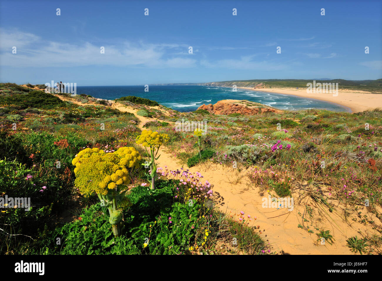 Frühling in der Sudoeste Alentejano und Naturpark Costa Vicentina, die wildesten Atlantikküste in Europa. Portugal Stockfoto