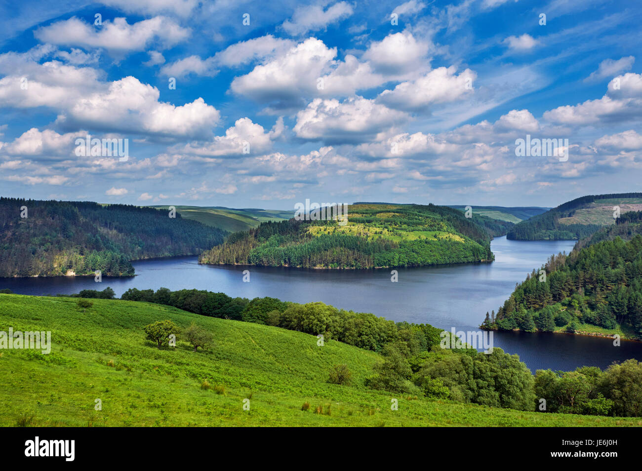 Llyn Brianne Reservoir im Towy Wald, im Jahre 1972 abgeschlossen. Powys, Wales. Stockfoto