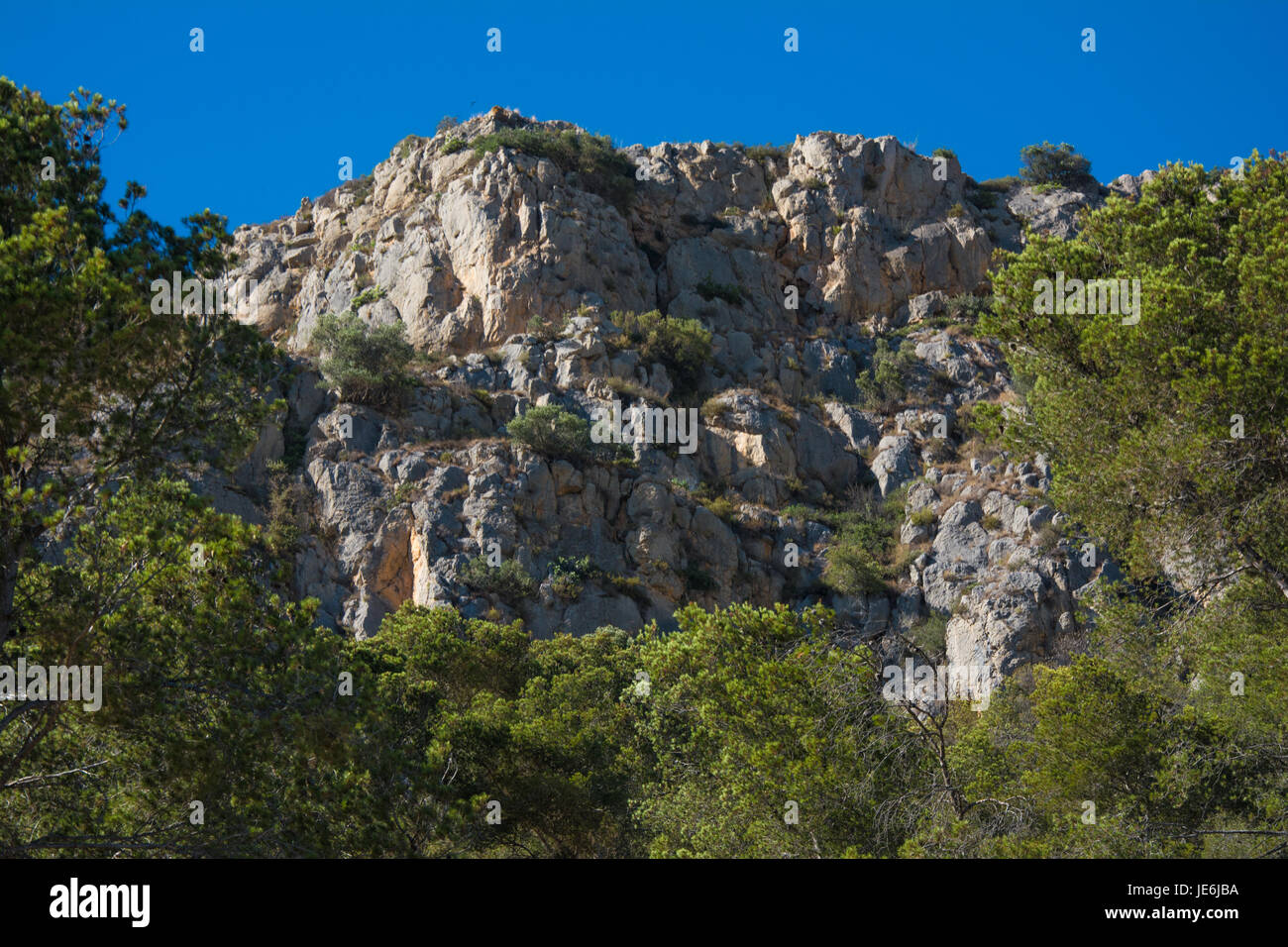 Bildung und Kiefer Bäume Felsen oberhalb der Stadt l ' Estartit an der Costa Brava Stockfoto