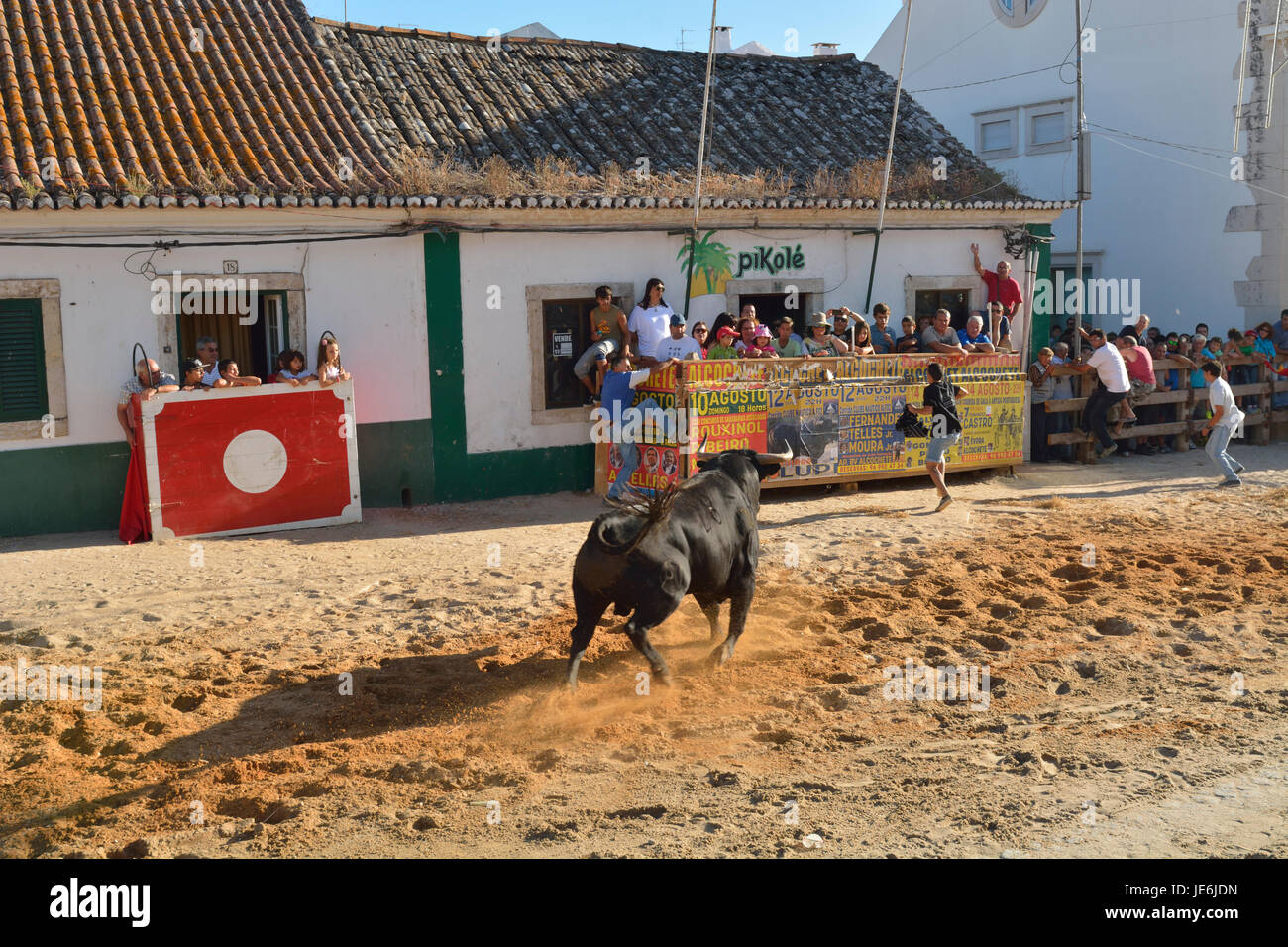Traditionelle Ausführung von wilden Stieren während der Festlichkeiten Barrete Verde (grüne Kappe). Alcochete, Portugal Stockfoto