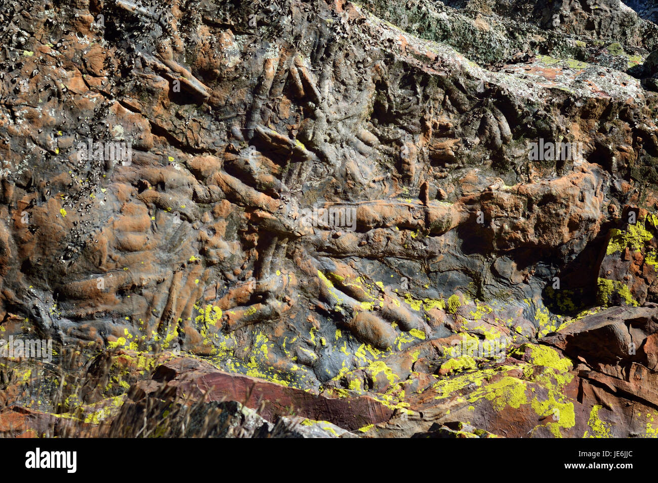 Spurenfossilien, auch genannt Ichnofossils, sind geologische Aufzeichnungen über biologische Aktivität. Geologischen Park Penha Garcia, Portugal Stockfoto