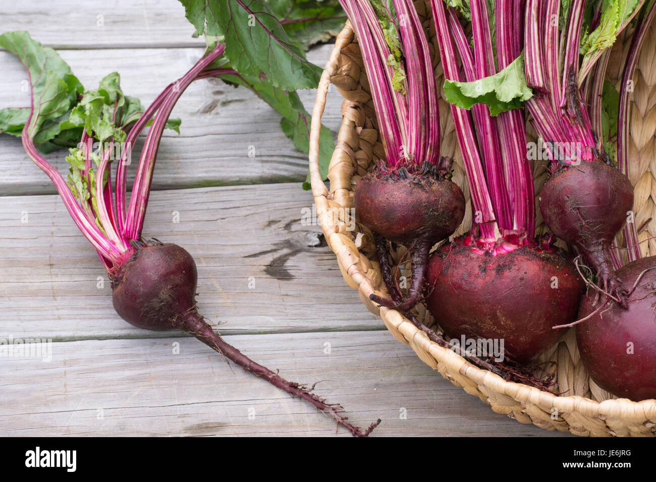 Red Beet Stockfotos und -bilder Kaufen - Alamy