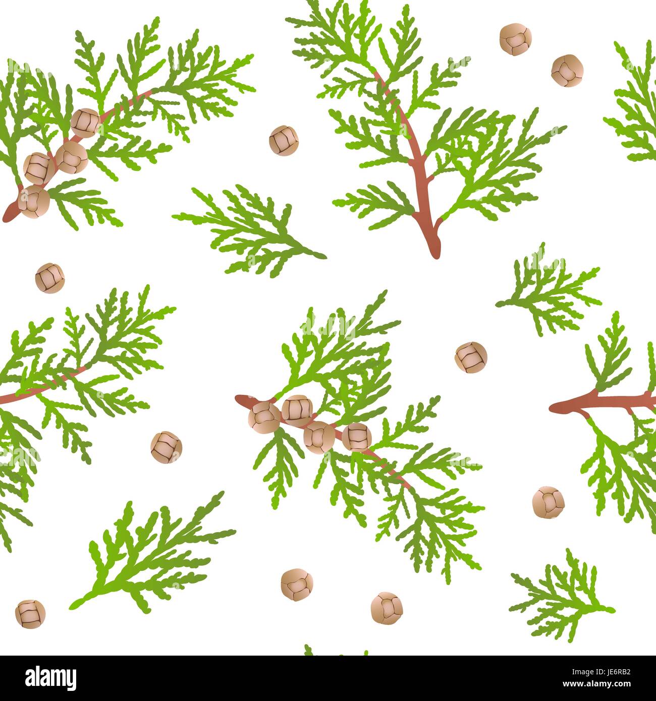Cypress Zweig Muster Stock Vektor