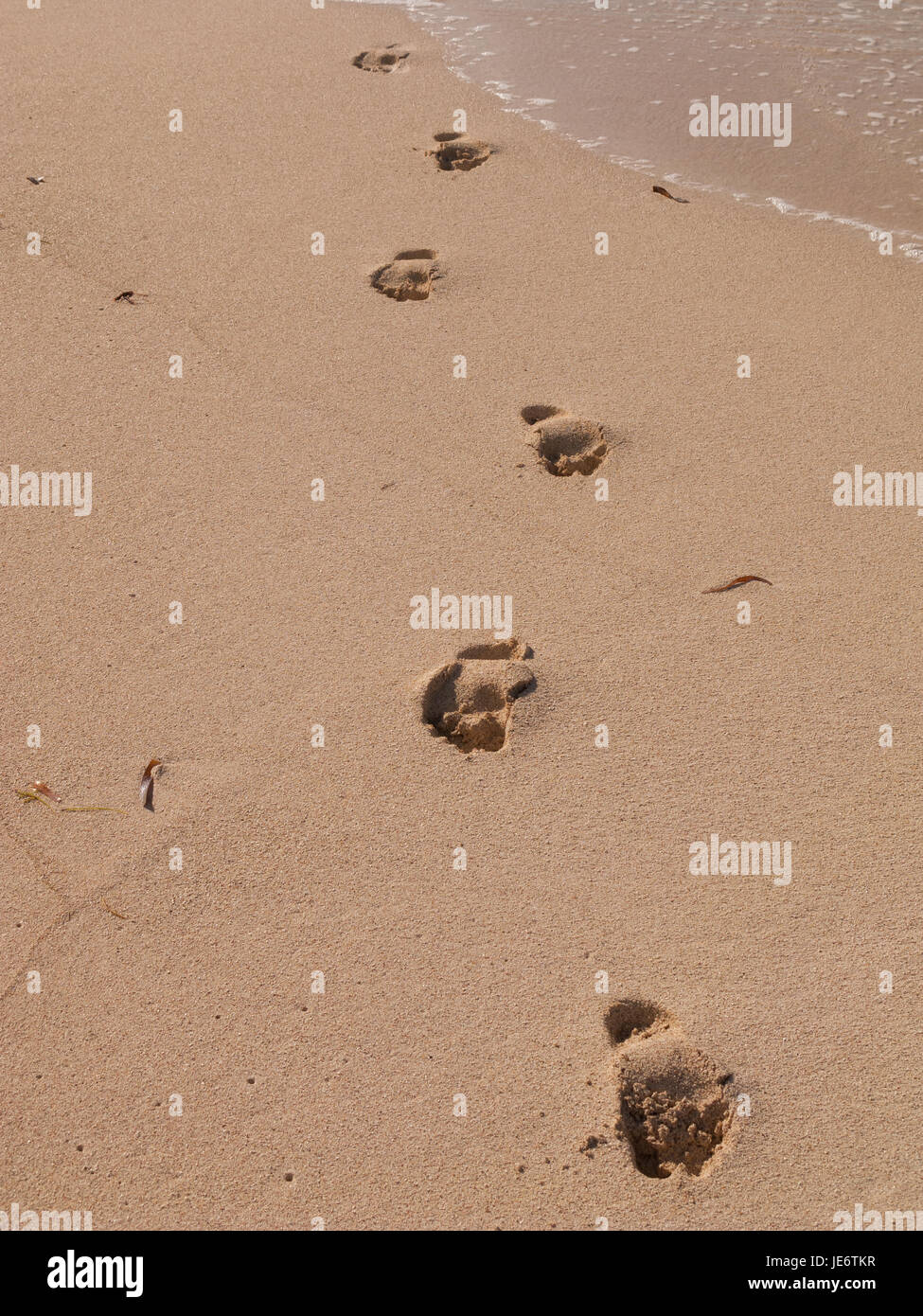 Fußspuren im Sand am Strand Mustique Makkaroni Stockfotografie - Alamy