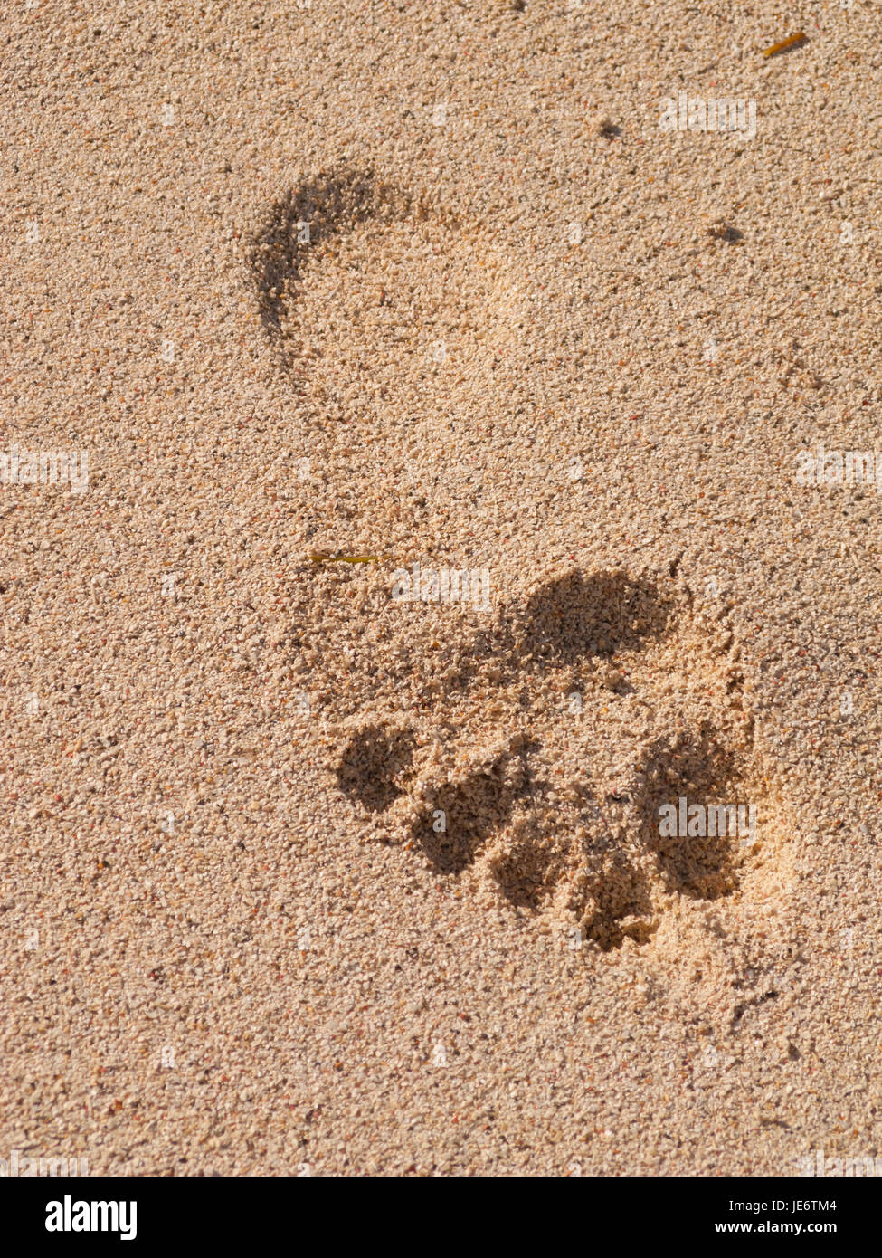 Fußspuren im Sand am Strand Mustique Makkaroni Stockfotografie - Alamy