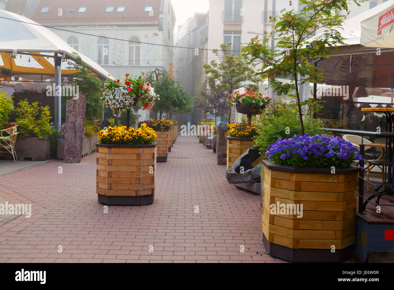 Nebligen Morgen im Zentrum der Altstadt von Riga. Einer der zentralen Plätze mit Sommer-Cafés und Blumen. Lettland, Baltikum Stockfoto