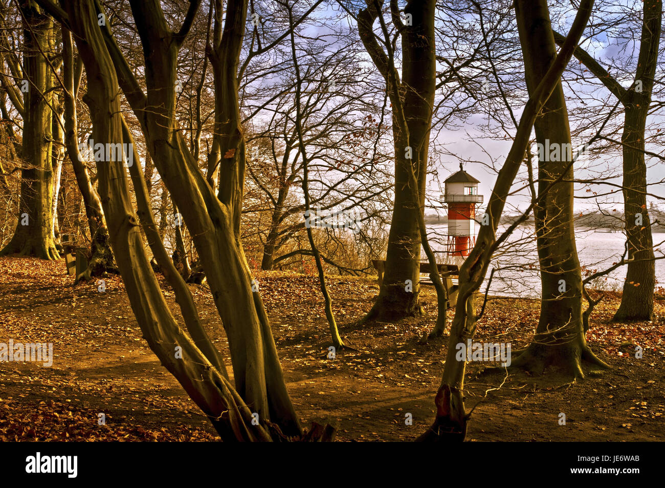 Deutschland, Hamburg, Risse, Holz, Bäume, Elbufer, Leuchtturm, Stockfoto