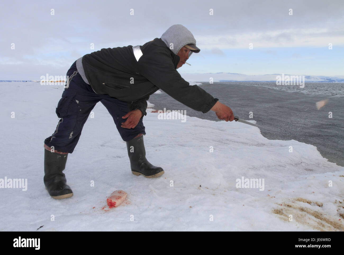 Nordamerika, Kanada, Nordkanada, Nunavut, Baffin Island, Eclipse klingen, Pond Inlet, Inuit, Wal Jagd, Jäger, Stockfoto