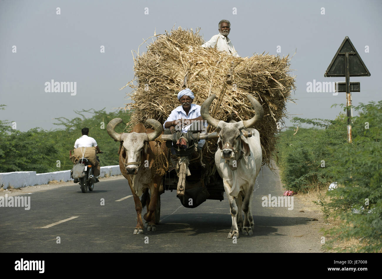 Indien, Gujarat, Transport auf einem Ochsenkarren, Stockfoto
